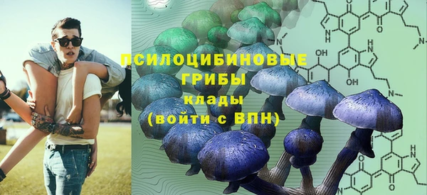 дмт Медногорск
