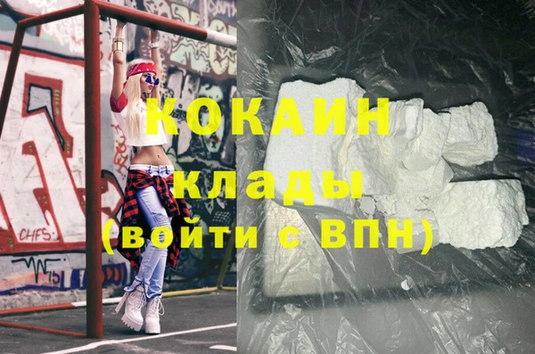 шишки Березники