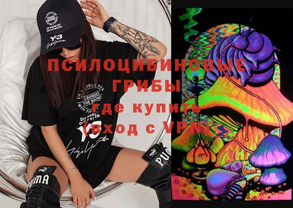 крисы Магас