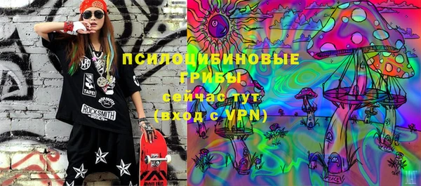 гашик Одинцово