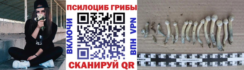 наркошоп  Егорьевск  Галлюциногенные грибы прущие грибы 