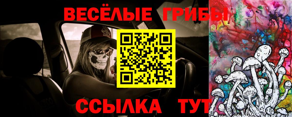 Псилоцибиновые грибы прущие грибы  Егорьевск 