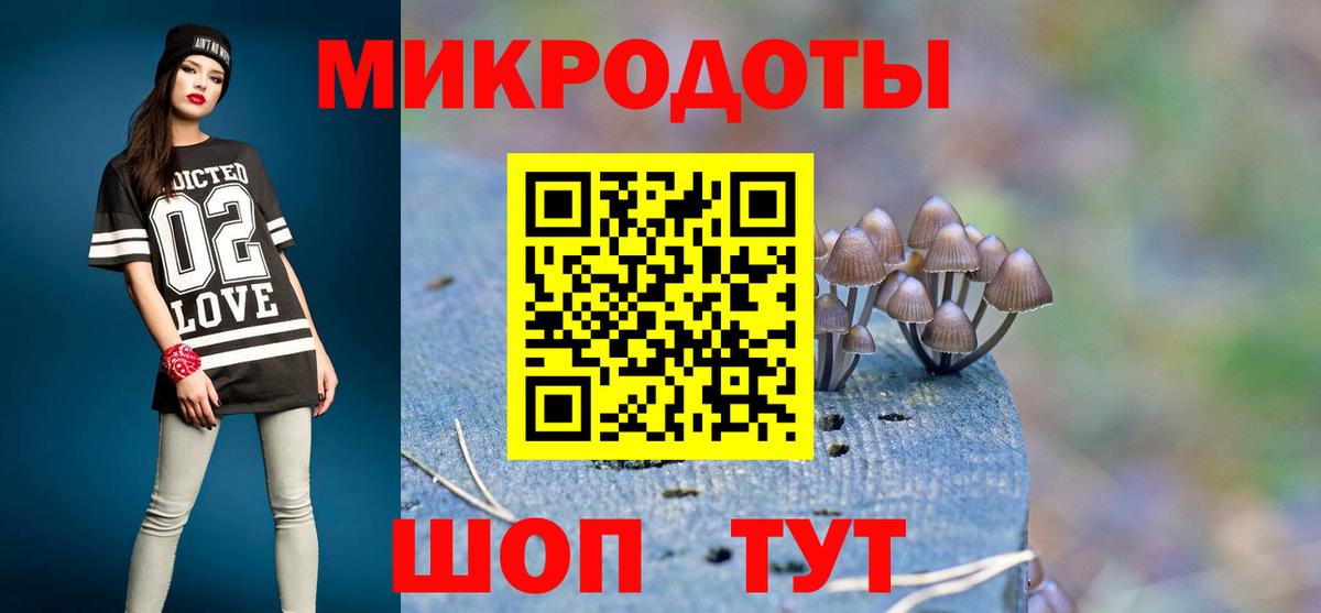 Псилоцибиновые грибы мицелий Егорьевск